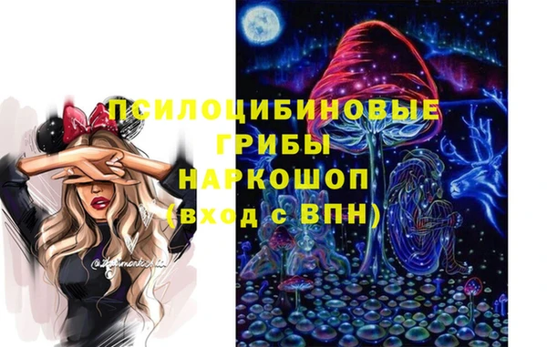 сатива Балахна