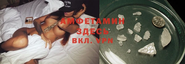 сатива Балахна