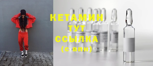 сатива Балахна