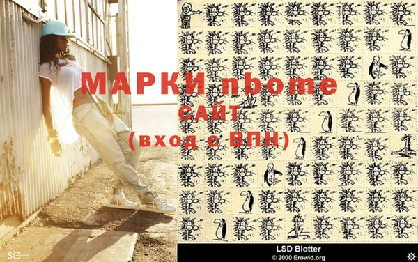 сатива Балахна