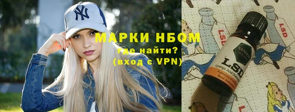 сатива Балахна