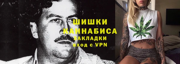 сатива Балахна