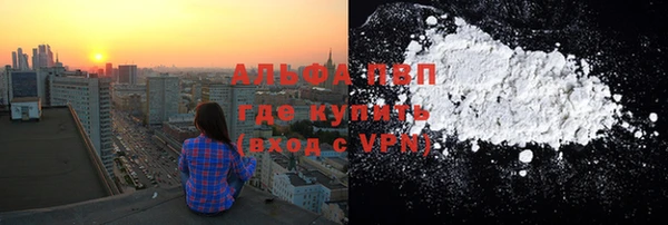 сатива Балахна