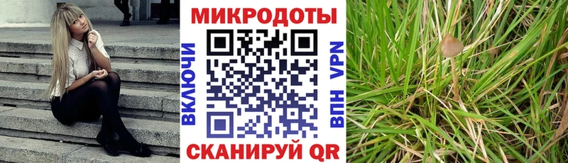Галлюциногенные грибы прущие грибы  Балабаново 